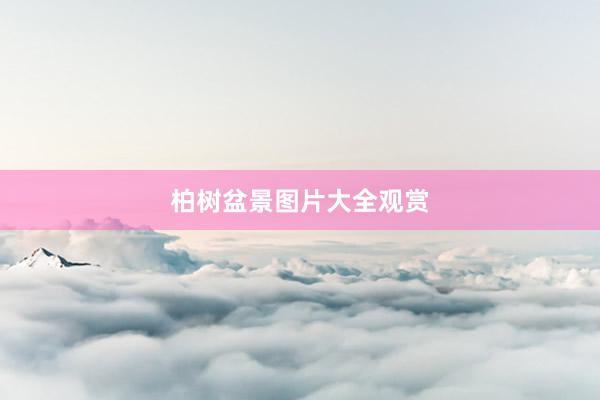 柏树盆景图片大全观赏